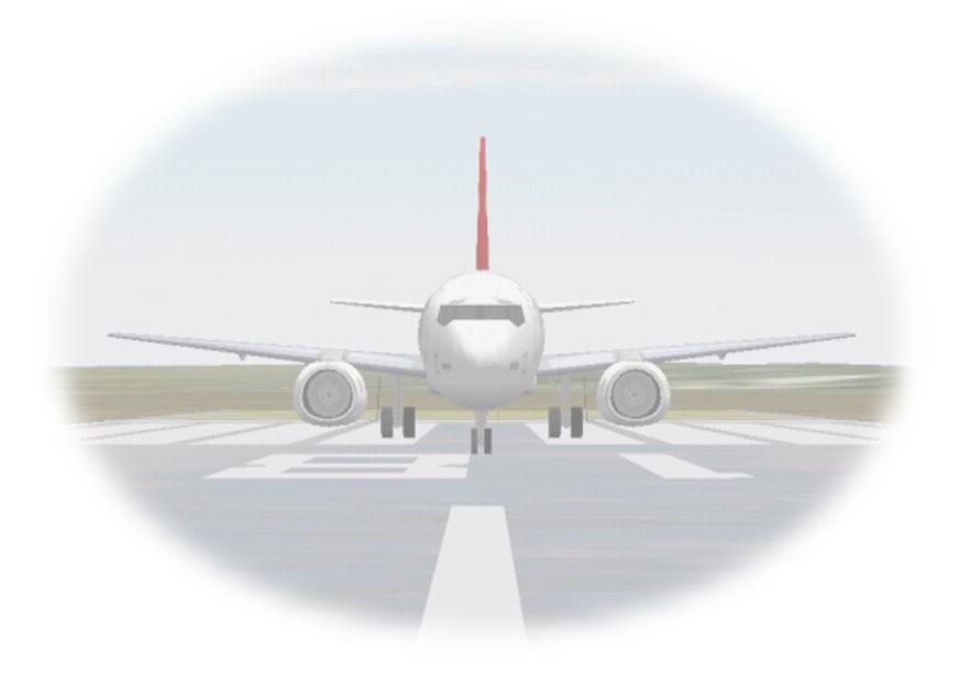 Turkish Airlines Boeing 737-400